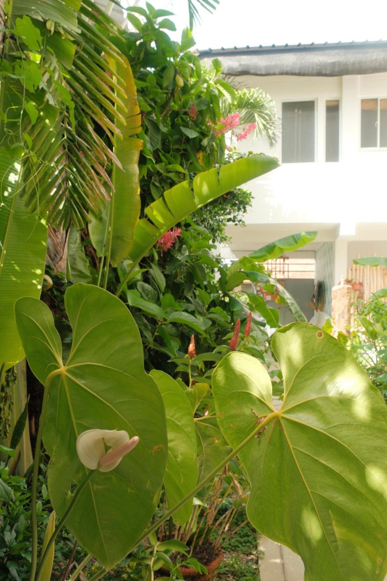 Kite House Cabarete Across Kite Beach מראה חיצוני תמונה